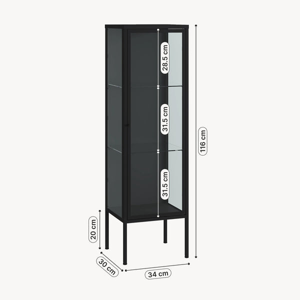 Vitrinenschrank Borshavisa 116x34x30 cm Stahl Schwarz [en.casa]