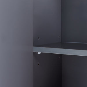 Spiegelschrank Overath 60x20x50 cm Grau [en.casa]