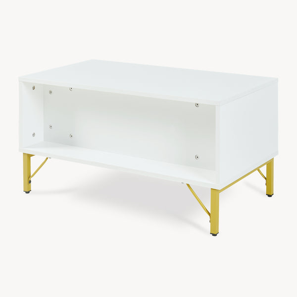 Couchtisch Reyri 80x45x42 cm Weiß/Goldfarben